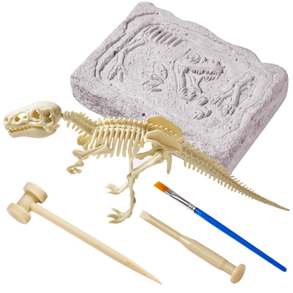 Dinosaur Digging Toy Excavation Kit For Kids Jaques of London